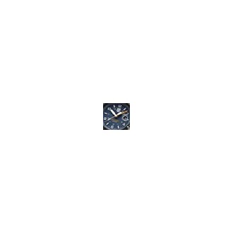 Hodinky Luminox NAVY SEAL FOUNDATION XS.3602.NSF