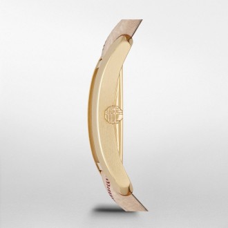 Hodinky Burberry BU9509