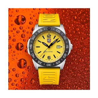 Hodinky Luminox XS.3125