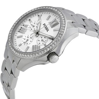 Hodinky Fossil AM4481