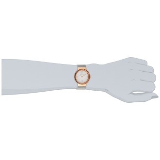 Hodinky Skagen 456LRS