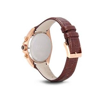Hodinky Hugo Boss 1513036