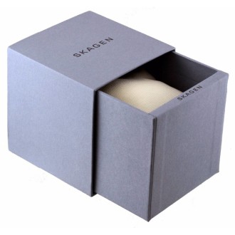 Hodinky Skagen 358XSSLWW
