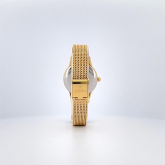 Hodinky Festina 20495/1