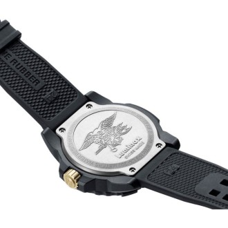 Hodinky Luminox XS.3508.GOLD