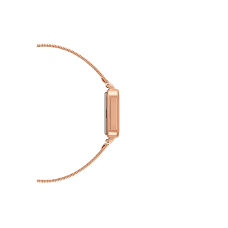 Hodinky Daniel Wellington DW00100519