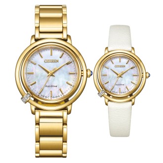 Hodinky CITIZEN EM1092-64D