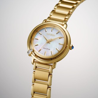 Hodinky CITIZEN EM1092-64D