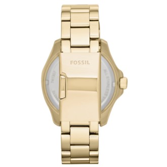 Hodinky Fossil AM4510
