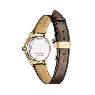 Hodinky CITIZEN EM1163-09X