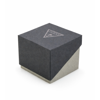 Hodinky Guess GW0625G2