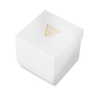 Hodinky Guess GW0792G4