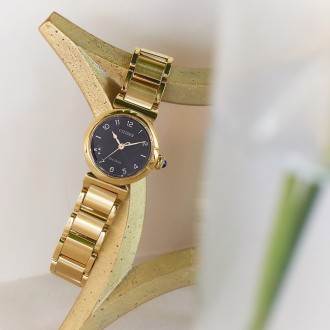 Hodinky CITIZEN EM1132-88H
