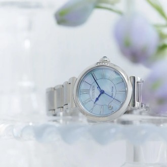Hodinky CITIZEN EM1060-87N