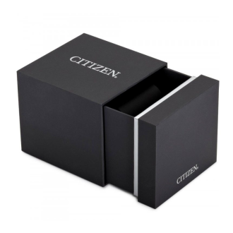 Hodinky CITIZEN NJ0190-51A