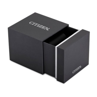 Hodinky Citizen EW2450-84A