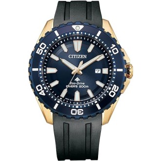 Hodinky Citizen BN0196-01L