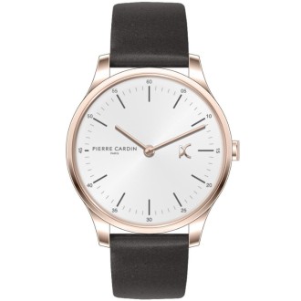 Hodinky Pierre Cardin CBA.4006