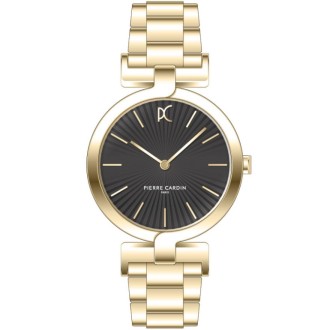 Hodinky Pierre Cardin CMD.3512